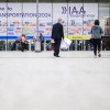 IAA Transportation 2024 eröffnet – Forderungen an die Politik