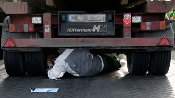 Sieben Prozent illegale Transporte in Frankreich