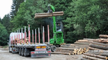 Am Rande: Lkw-Fahrer muss Bäume auf Raststätte sägen