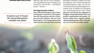 2015: Ein rundum gutes Jahr?