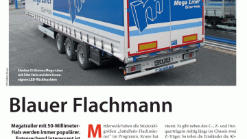 Blauer Flachmann