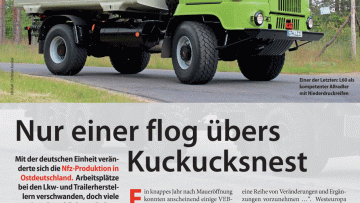 Nur einer flog übers Kuckucksnest