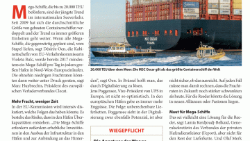 Die Angst vor den Ozean-Riesen