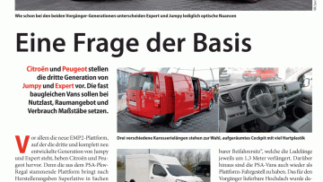 Eine Frage der Basis