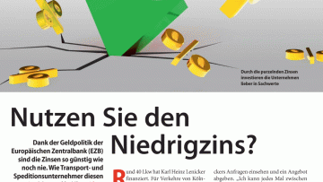 Nutzen Sie den Niedrigzins?