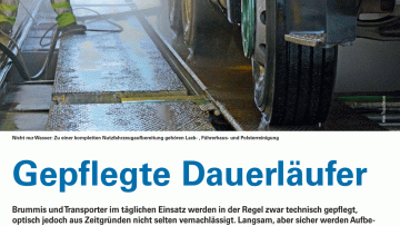 Gepflegte Dauerläufer