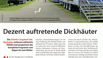 Dezent auftretende Dickhäuter