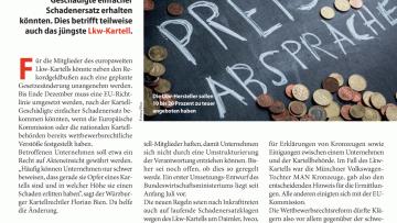 Neue Regeln für Schadenersatzklagen