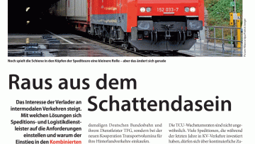 Raus aus dem Schattendasein