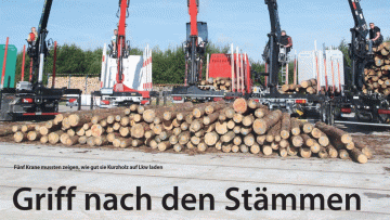 Griff nach den Stämmen