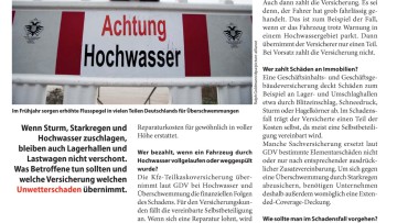 Das zahlt die Versicherung bei Elementarschäden