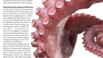 Amazon schnappt zu AMAZON