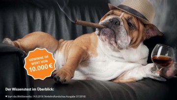 "Chef sein?" ... Das kannst Du besser!