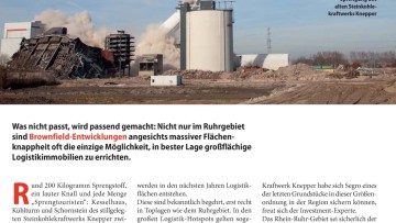 Phönix aus der Asche