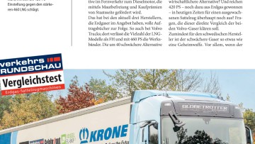 Duell unter Gasern