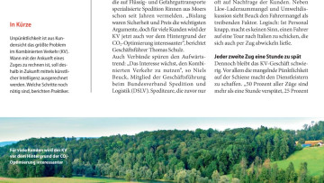 Grüne Trumpfkarte
