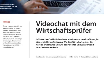 Videochat mit dem Wirtschaftsprüfer