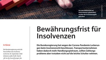 Bewährungsfrist für Insolvenzen