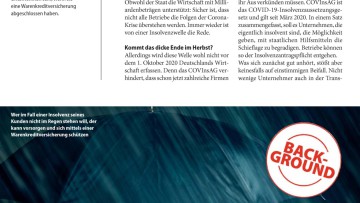 Schutz vor der Insolvenzwelle