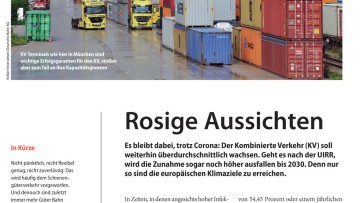 Rosige Aussichten
