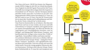 Die neue Kostenkeule