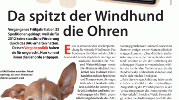 Da spitzt der Windhund die Ohren