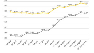 Die Entwicklung des Kraftstoffpreises in Wochen als Grafik