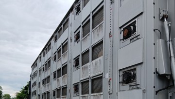 Tiertransporte, Tierwohl, Verladen, Lebendige Tiere