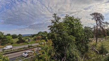 Die A643 durchschneidet das Naturschutzgebiet „Mainzer Sand“