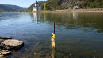 Rhein-Niedrigwasser: Pegel Kaub erreicht historischen Tiefstand