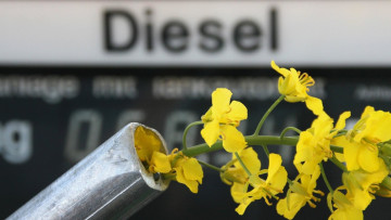 Bundesregierung will Biosprit-Produktion einschränken