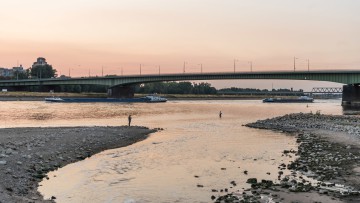 Rhein_Düsseldorf_Niedrigwasser