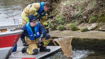 Feuerwehr, Schozach, Fische