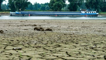 Niedrigwasser, Binnenschiff, Donau