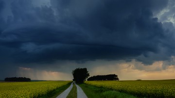 Wolken, Baeume, Himmel, Feldweg