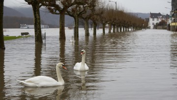 Hochwasser