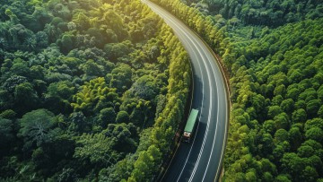 Lkw im Wald