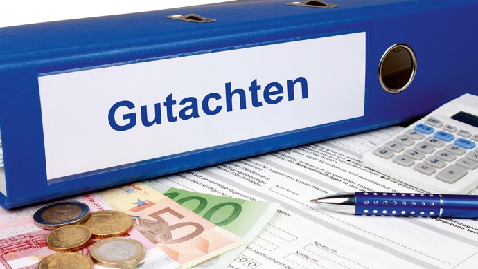 Symbolbild Gutachten, Ordner mit Schriftzug