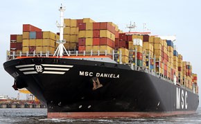 MSC Daniela in Bremerhaven