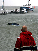 Hochwasser