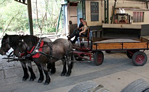 Mit zwei PS gegen hohe Dieselpreise