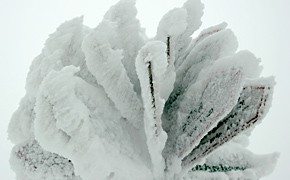 Winter Schilder 