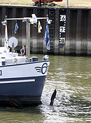 Schifffahrt