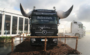 Daimler schreibt schwarze Zahlen (290)