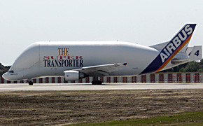 Beluga