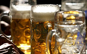 Bier 290