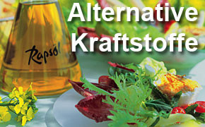 alternative_kraftstoffe290