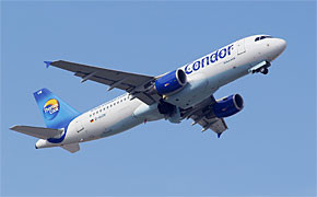 condor_290