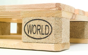 Falkenhahn legt im Streit um die World-Palette nach Falkenhahn World-Palette