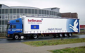 Hellmann 290
